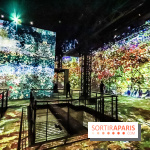 Exposition Van Gogh à l'Atelier des Lumières, les photos