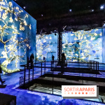 Exposition Van Gogh à l'Atelier des Lumières, les photos