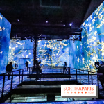 Exposition Van Gogh à l'Atelier des Lumières, les photos