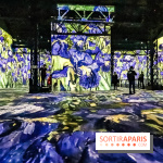 Exposition Van Gogh à l'Atelier des Lumières, les photos