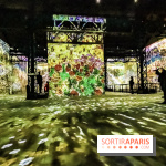 Exposition Van Gogh à l'Atelier des Lumières, les photos