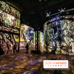 Exposition Van Gogh à l'Atelier des Lumières, les photos