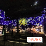 Exposition Van Gogh à l'Atelier des Lumières, les photos