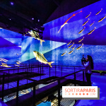 Japon rêvé, l'exposition immersive à l'Atelier des Lumières, les photos