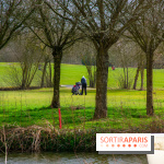 Le Mercure Chantilly 4 étoiles, le dépaysement total à 40 minutes de Paris