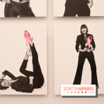 Stéphane de Bourgies, Quand le masque tombe