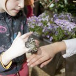 Le Jardin - La serre à papillons
© Sophie Chivet / CSI