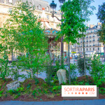 Journée Internationale des Forêts 2019