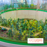 Journée Internationale des Forêts 2019