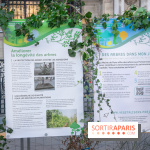 Journée Internationale des Forêts 2019