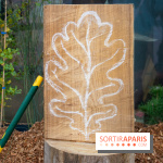 Journée Internationale des Forêts 2019