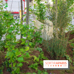 Journée Internationale des Forêts 2019