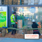 Journée Internationale des Forêts 2019
