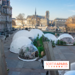 La forêt, une expérience à vivre sur le Parvis de l'Hôtel de Ville
