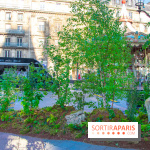 La forêt, une expérience à vivre sur le Parvis de l'Hôtel de Ville