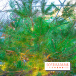 La forêt, une expérience à vivre sur le Parvis de l'Hôtel de Ville