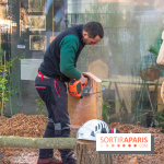 La forêt, une expérience à vivre sur le Parvis de l'Hôtel de Ville