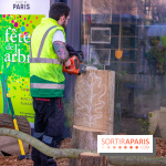 La forêt, une expérience à vivre sur le Parvis de l'Hôtel de Ville