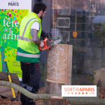 La forêt, une expérience à vivre sur le Parvis de l'Hôtel de Ville