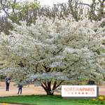 Le Jardin des Plantes
