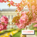Le Jardin des Plantes