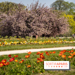 Le Jardin des Plantes