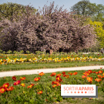 Le Jardin des Plantes