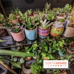 Boya Paris, fleuriste et artisanat