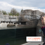 Parc Zoologique de Paris 2019
