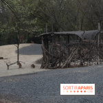 Parc Zoologique de Paris 2019