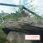 Parc Zoologique de Paris 2019