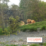 Parc Zoologique de Paris 2019