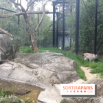Parc Zoologique de Paris 2019
