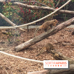 Parc Zoologique de Paris 2019