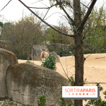 Parc Zoologique de Paris 2019