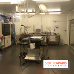 Parc Zoologique de Paris 2019