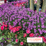 Earth Month à Disneyland Paris