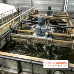 Earth Month à Disneyland Paris