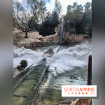 La Mer de Sable 2019, les photos