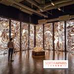 Exposition Préhistoire, un invention moderne au Centre Pompidou, les photos