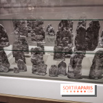 Exposition Préhistoire, un invention moderne au Centre Pompidou, les photos