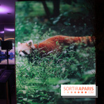 Unexpected China, l'espace éphémère à Paris