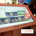 Unexpected China, l'espace éphémère à Paris