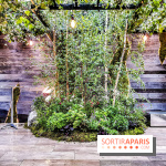 Jardins Jardin aux Tuileries 2019