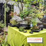 Jardins Jardin aux Tuileries 2019