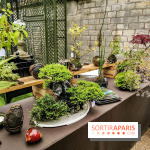 Jardins Jardin aux Tuileries 2019