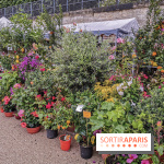 Jardins Jardin aux Tuileries 2019