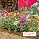 Jardins Jardin aux Tuileries 2019