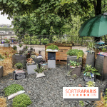 Jardins Jardin aux Tuileries 2019