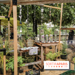 Jardins Jardin aux Tuileries 2019